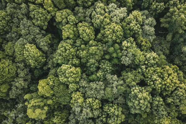 Intégration réussie du web et business