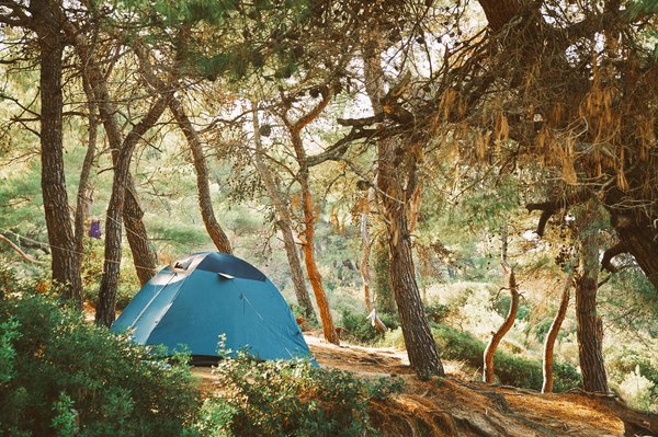 Camping étoilé et camping sans étoiles: quelles sont les différences?
