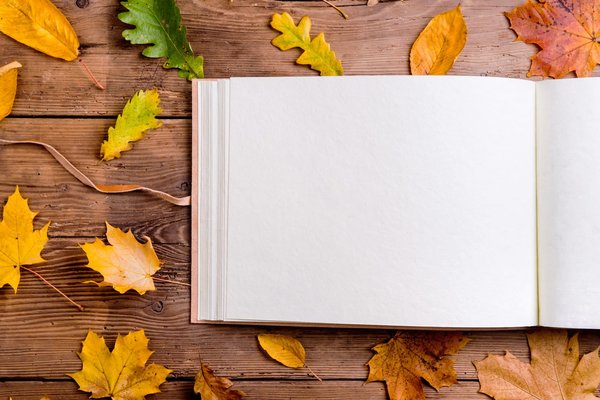 Création d'album photo en ligne : quels sont les meilleurs sites ?