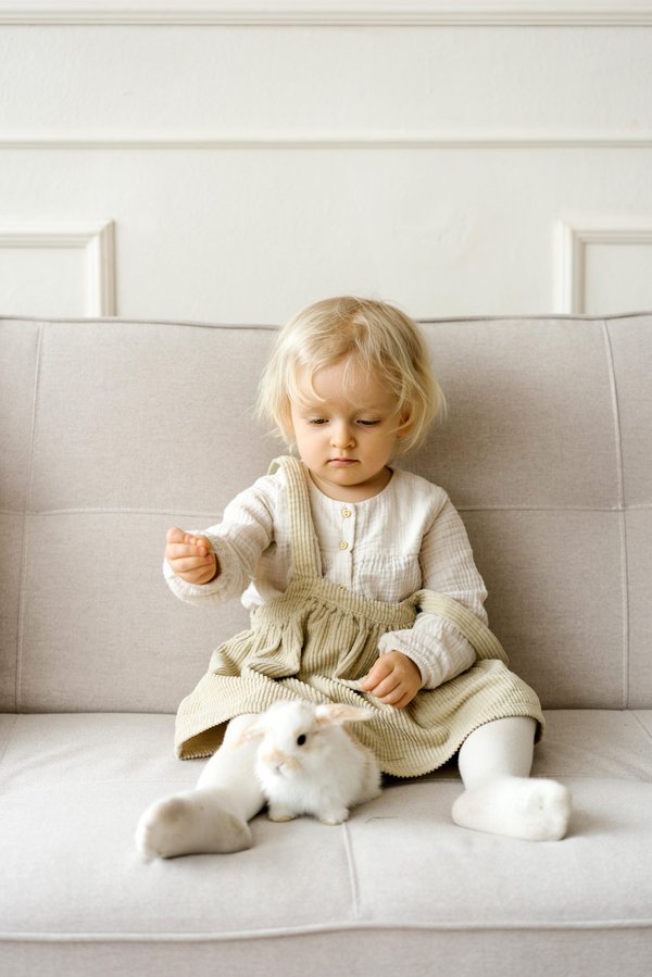 Comment s'occuper d'un bébé lapin non sevré ?